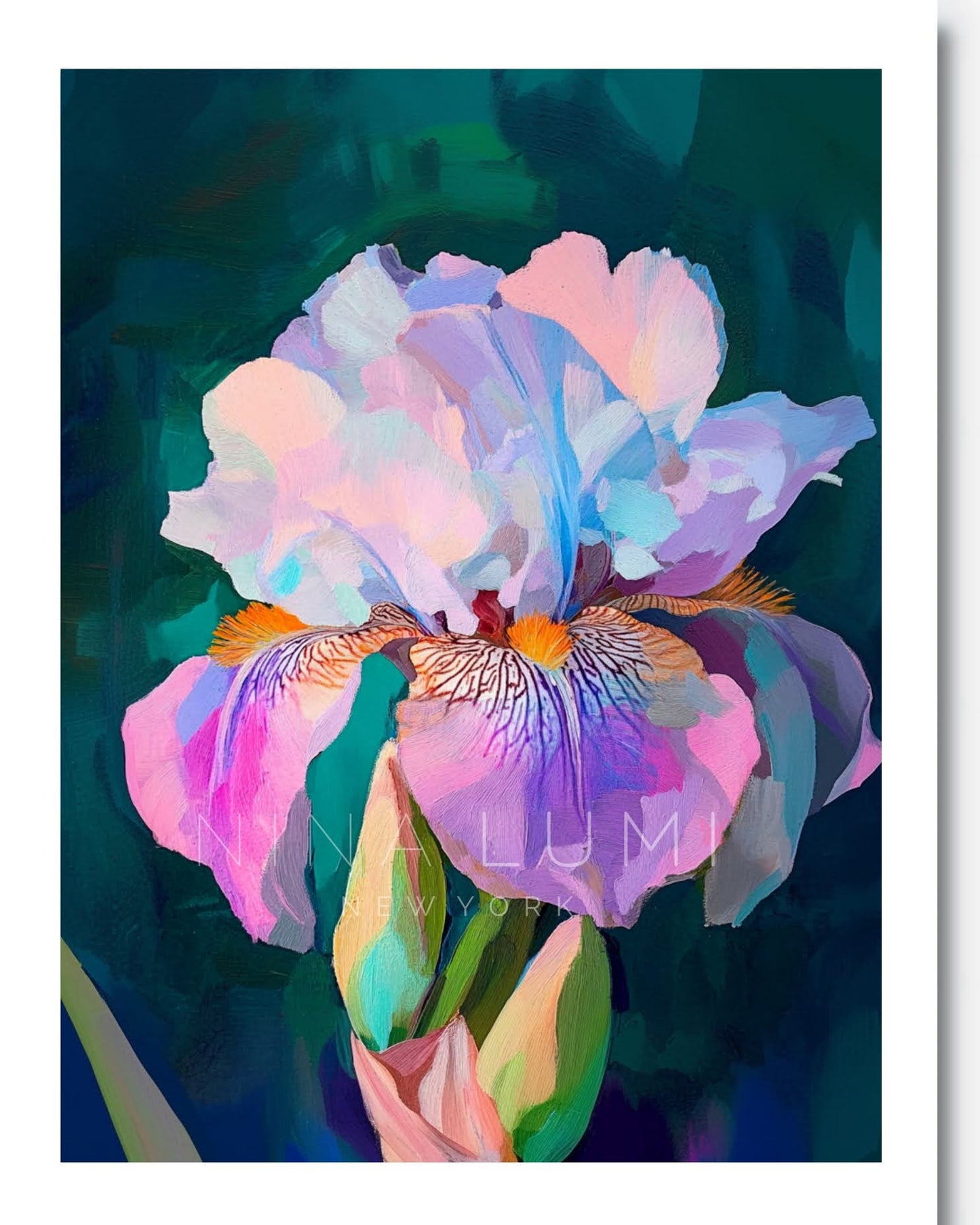 Iris Whisper