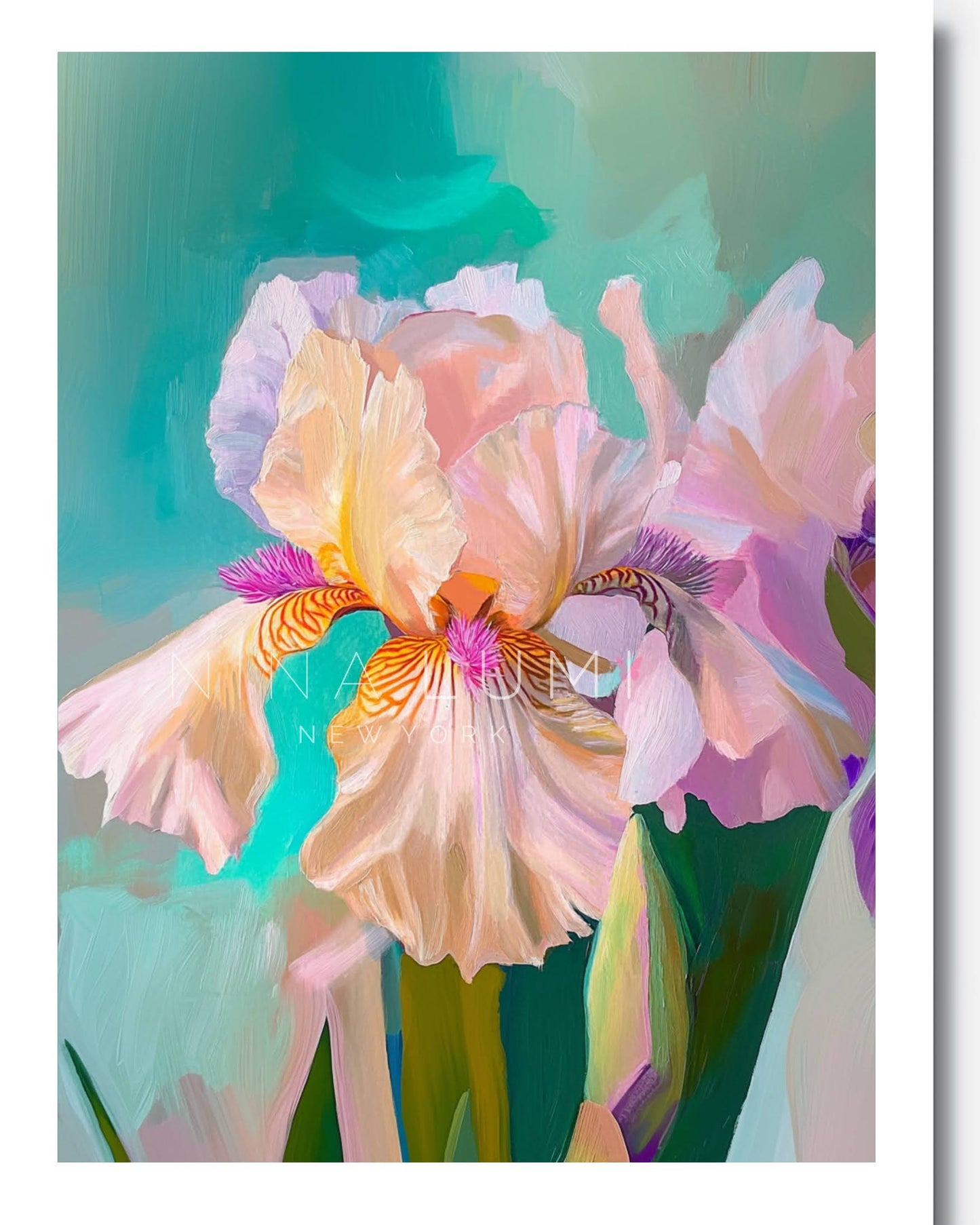 Flourishing Iris